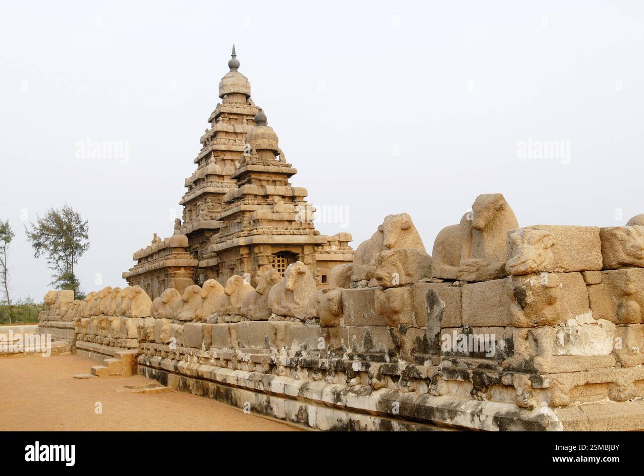 Der Ufertempel in Mahabalipuram ist einer der ältesten Tempel am Meeresrand, Mahabalipuram, Tamil Nadu, Indien, Asien Stockfoto