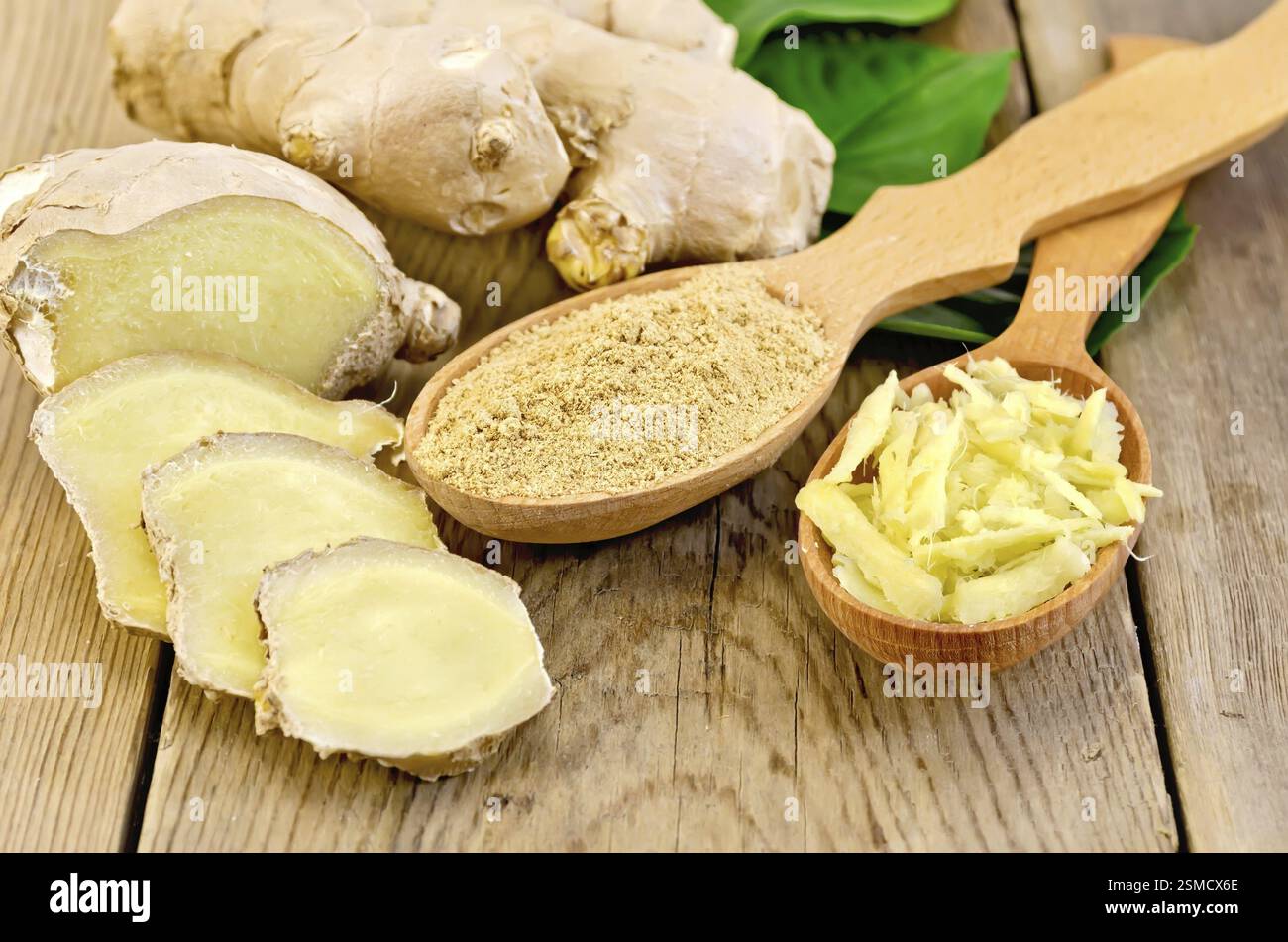 Geriebener und gemahlener Ingwer in zwei Kochlöffel, Ingwerwurzel, grüne Blätter auf dem Holzbrett Stockfoto