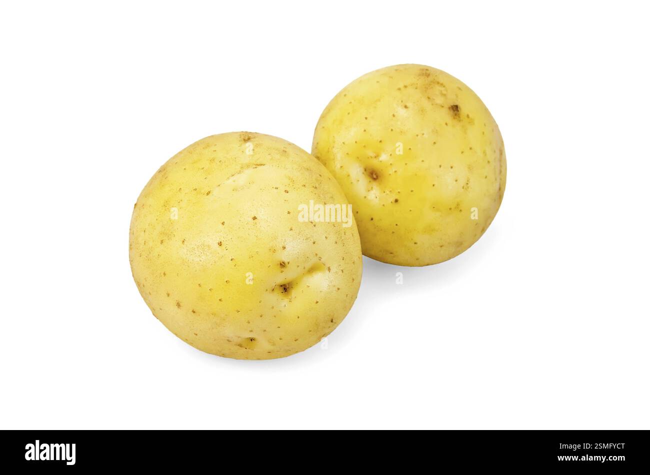 Zwei ganze gelbe Kartoffeln isoliert auf weißem Hintergrund Stockfoto