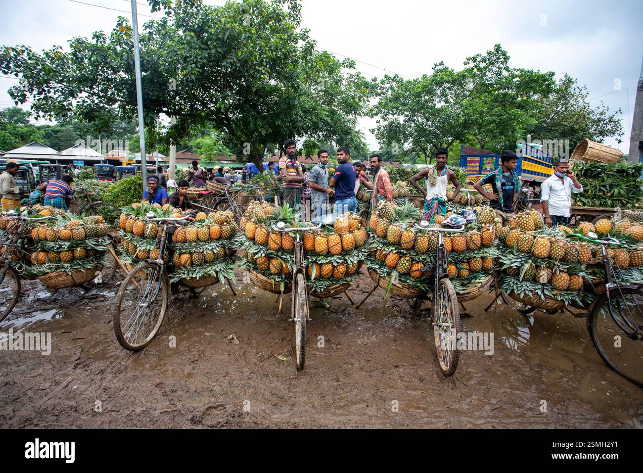 Blick auf den Madhupur Bazar in Tangail, Bangladesch, wo Bauern und Händler aktiv am geschäftigen Ananashandel teilnehmen. Stockfoto