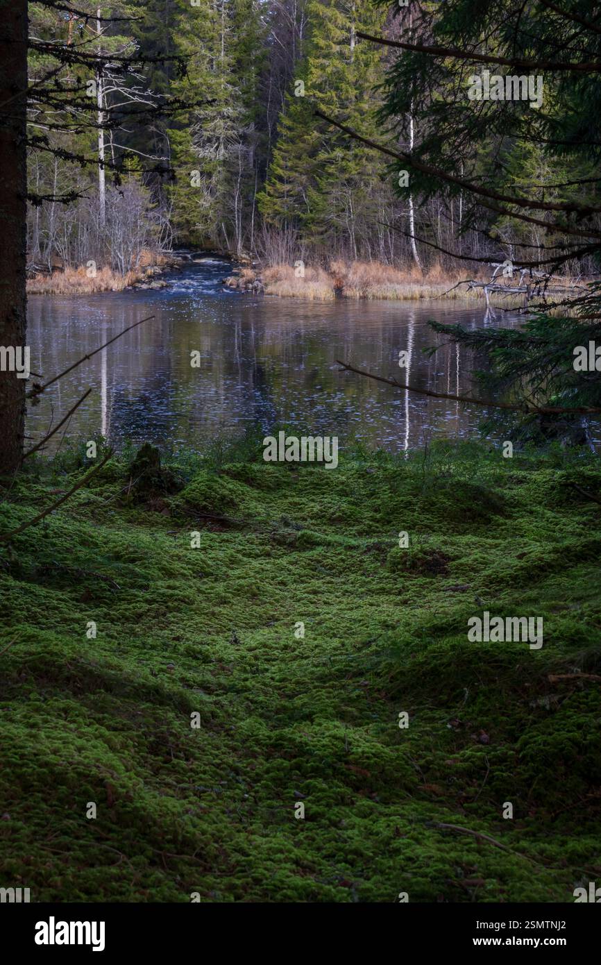 Uralter Stein, fließender Fluss und ruhige Reflexionen – Steinbrua steht stark im Laufe der Zeit. Ein Ort, an dem Sie anhalten, nach oben schauen und die Reise mitnehmen können Stockfoto