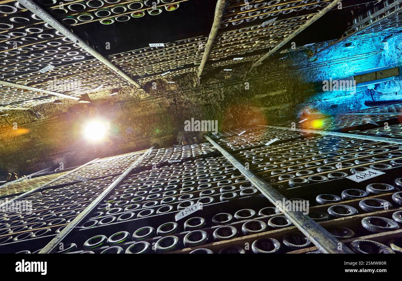 "The cathedral" room at the Marques de Riscal winery. The city of wine. Elciego. Rioja alavesa wine route. Alava. Basque country. Spain Stockfoto