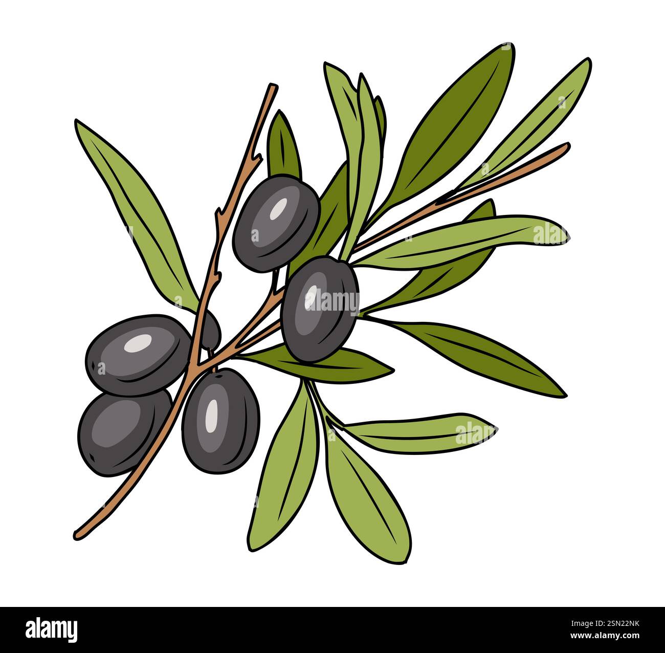 Elegante Zeichnung von Olivenzweigen mit Blättern Stock Vektor