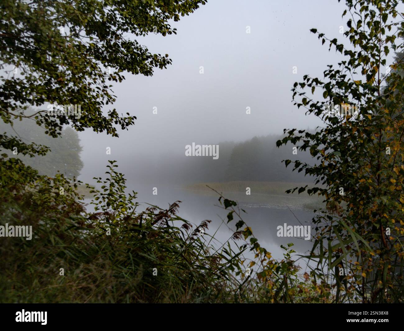 Misty Waters Stockfoto