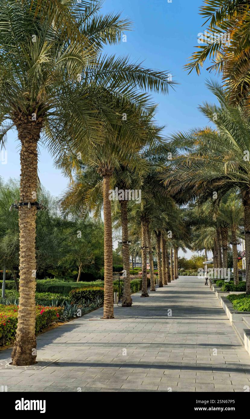 Ein urbanes Fußgängergebiet am Nachmittag in der Town Square Development in Dubai mit Palmen und Pflanzen. - Smartphone-aufgenommenes Stockfoto