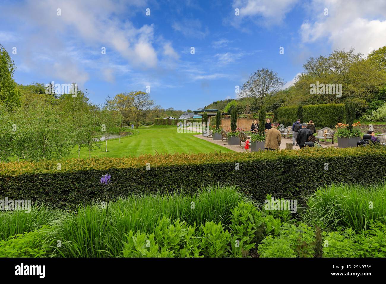 RHS Harlow Carr Gardens, Harrogate, Yorkshire, England, Großbritannien Stockfoto