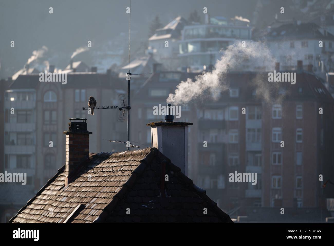 Stuttgart, Deutschland. Februar 2025. Die Erwärmung der Atmosphäre wird durch den CO2-Gehalt beeinflusst. Quelle: Marijan Murat/dpa/Alamy Live News Stockfoto
