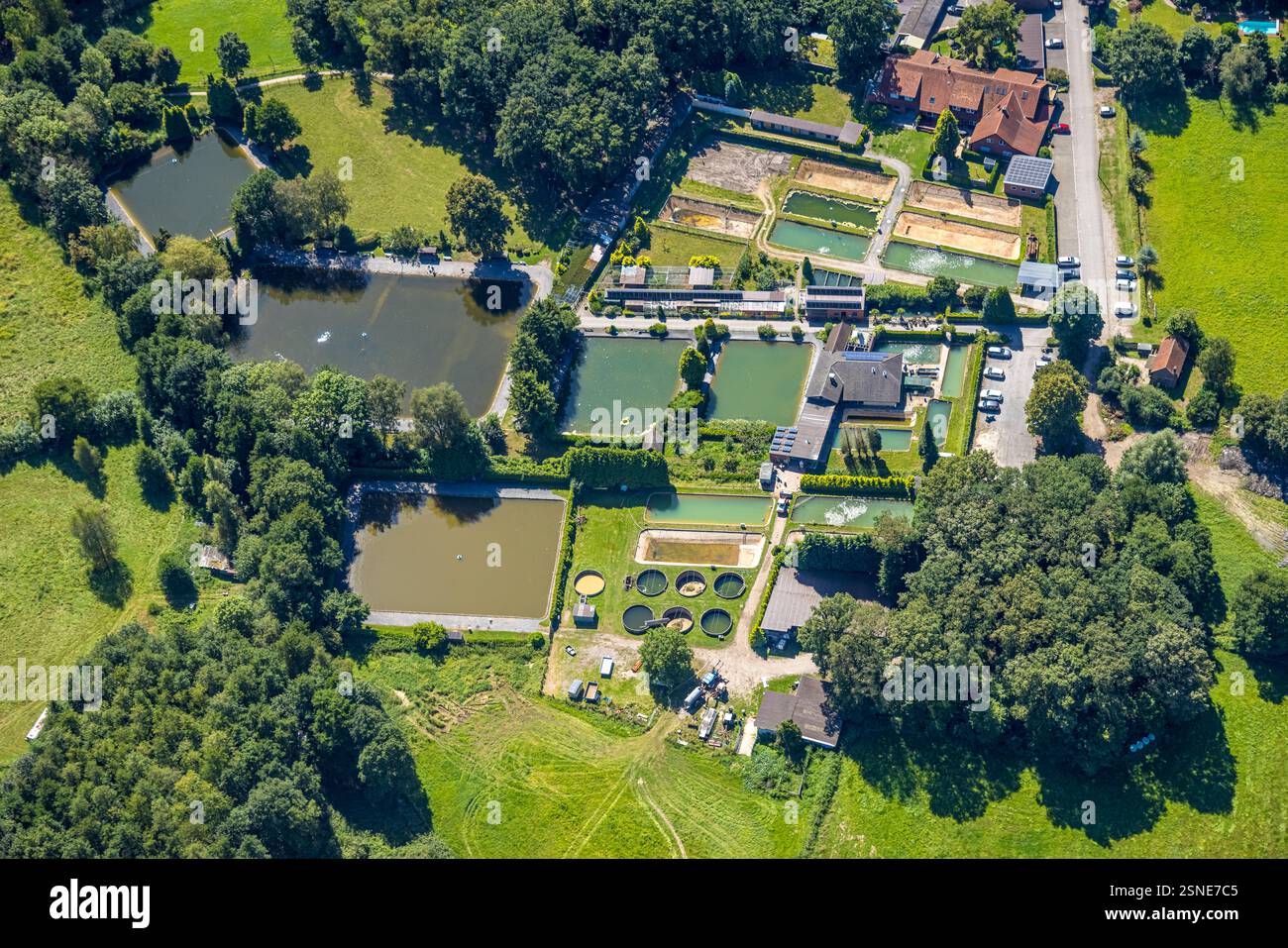Luftaufnahme, Angelparadies Schoel, Fischzucht, Forellenzucht und Fischteiche, Lichtenhagen, Schermbeck, Ruhrgebiet, Nordrhein-Westfalen, Deutschland Stockfoto