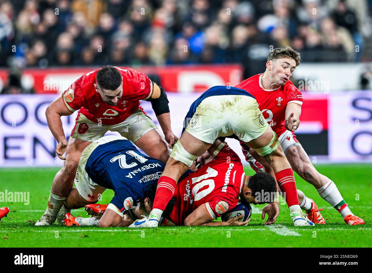 Spieler beim 6- oder Six Nations Championship Rugby Match France gegen Wales im Stade de France in Saint Denis bei Paris am 31. Januar 2025. Quelle: Victor Joly/Alamy Live News Stockfoto