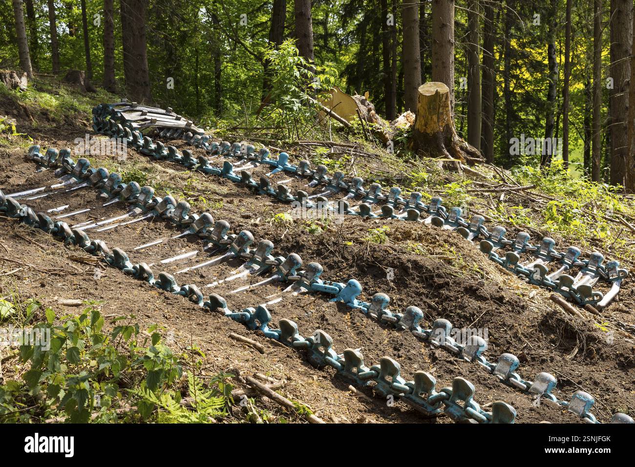 Ketten eines Ernteers auf dem Waldboden, Waldbewirtschaftung bei Rauenstein, Pockau-Lengefeld, Sachsen, Deutschland, Europa Stockfoto