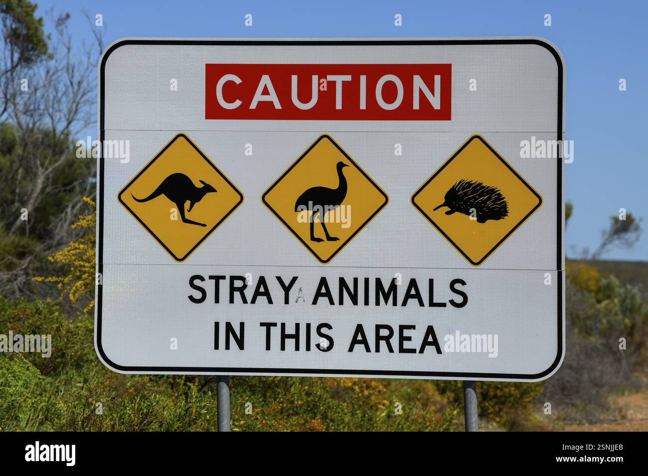 Achten Sie auf das Tierschild auf einer Landstraße in der Nähe von Cervantes, Shire of Dandaragan, Bundesstaat Western Australia, Australien, Ozeanien Stockfoto