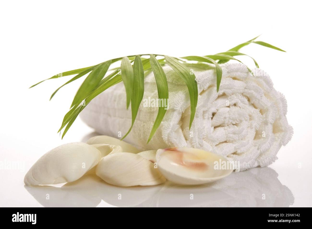 Sommerbadeszene. Handtuch, Schale, Blatt isoliert auf weißem Hintergrund Stockfoto