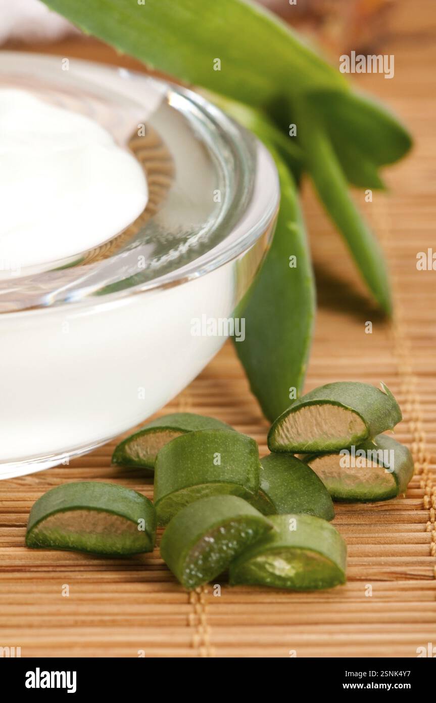 Aloe Vera - Blätter und Creme isoliert auf weißem Hintergrund, polen Stockfoto