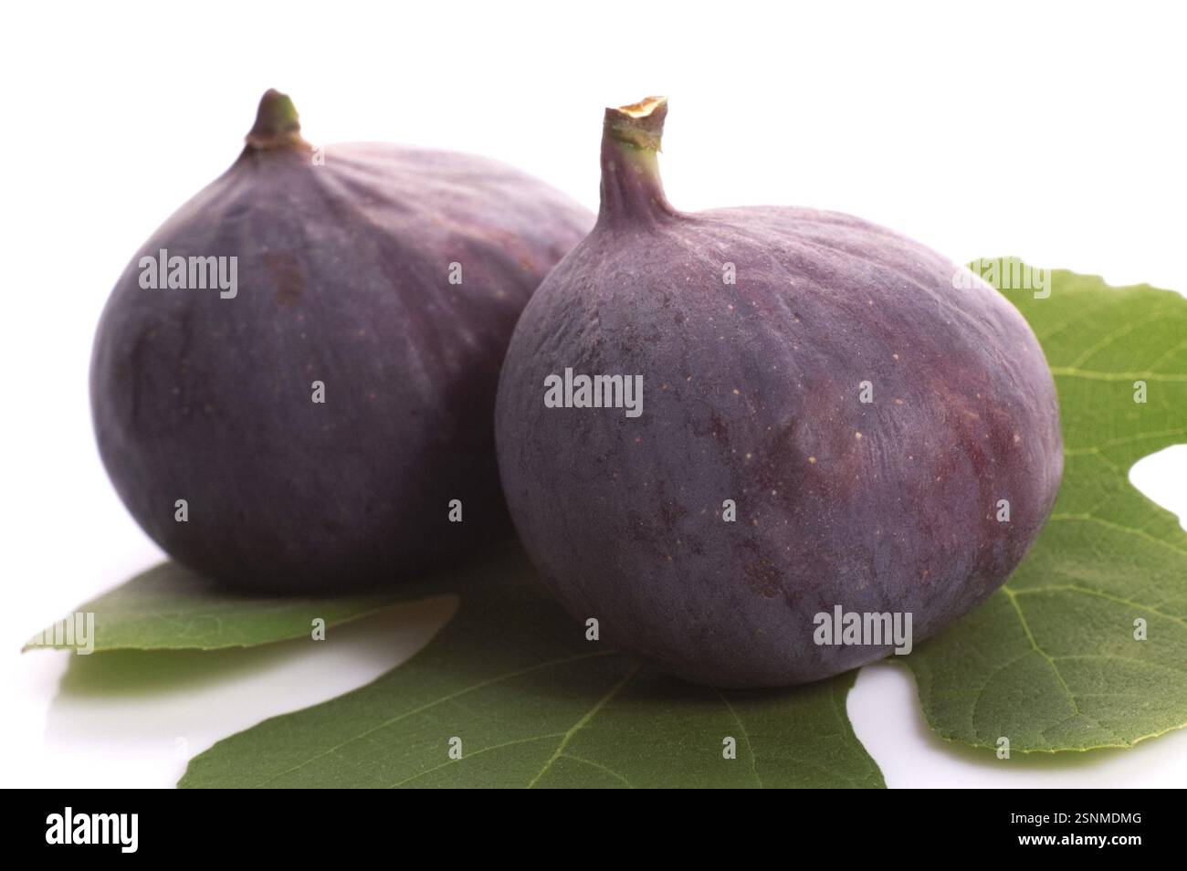 Frische Feigen. Früchte und Blätter isoliert auf weißem Hintergrund Stockfoto