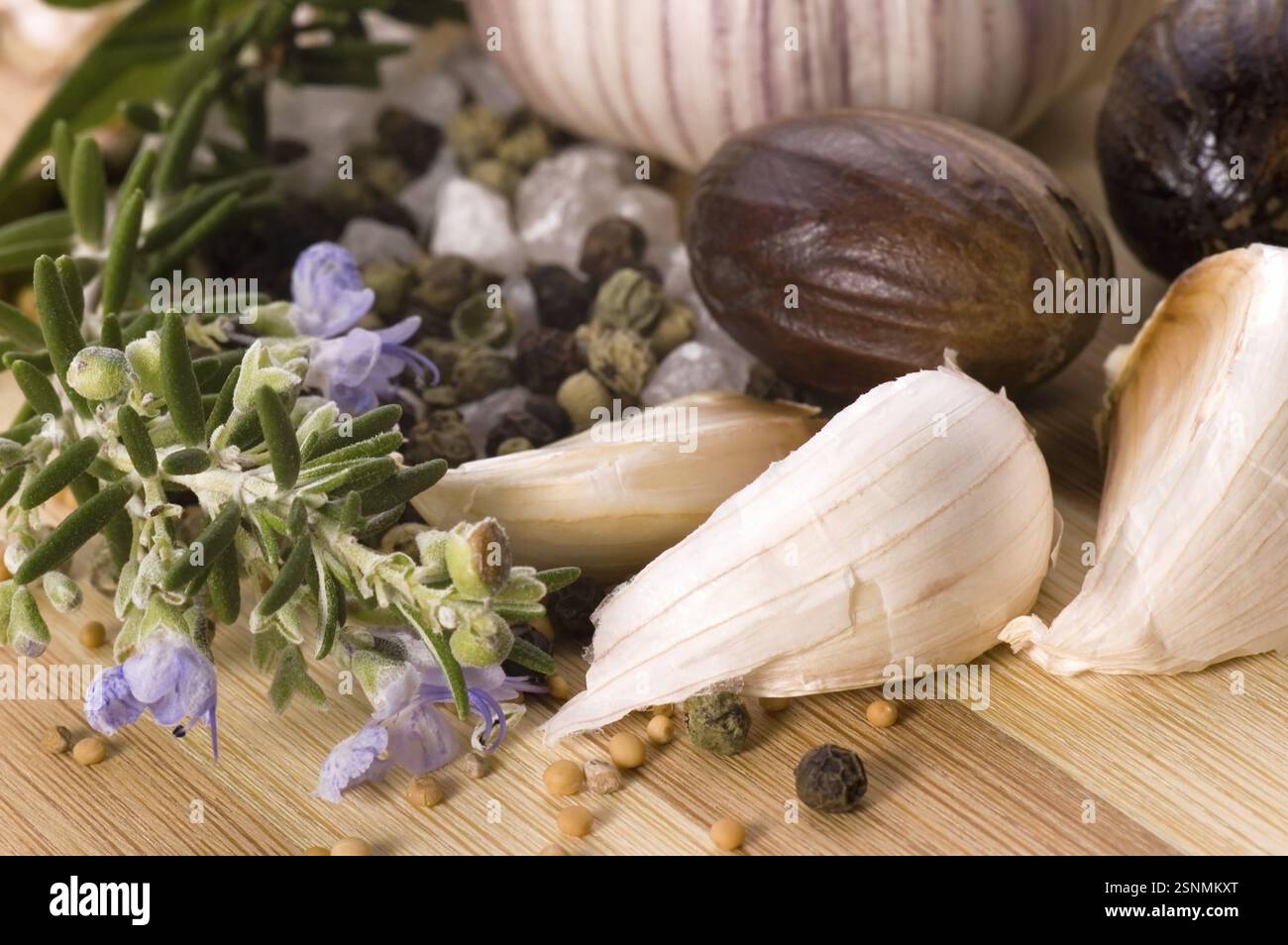 Kräuter und Gewürze. Knoblauch, Rosmarin, Lorbeerblatt, Pfeffer, alt, Muskatnuss, Vanille, Kardamon Stockfoto