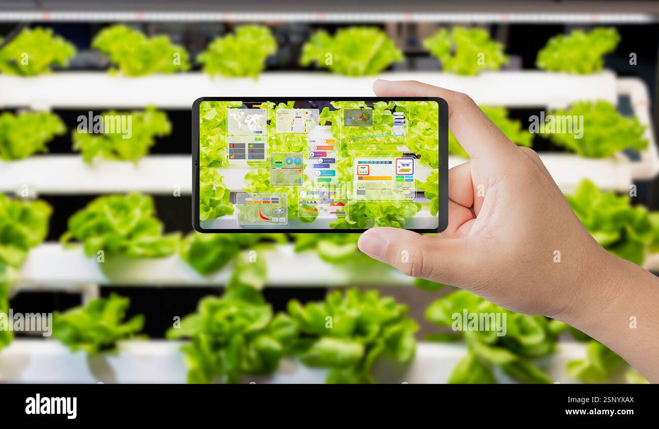 Landwirtschafts-Technologiekonzept mit Smart Farm-Verbindung zum Mobiltelefon Stockfoto