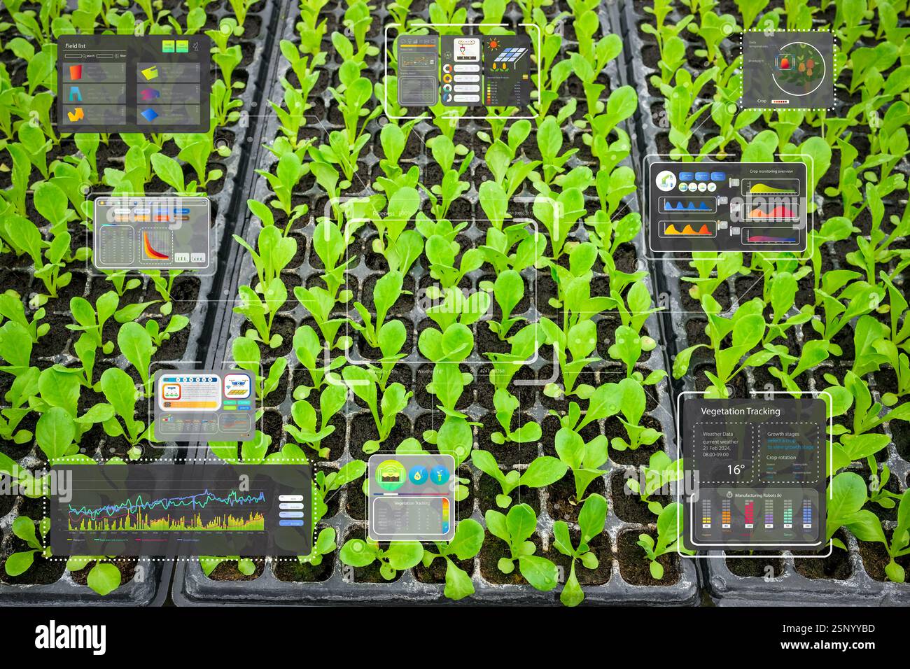 Automatisierungsfarm für Präzisionslandwirtschaftstechnologie mit digitaler Schnittstelle in der Salatfarm Stockfoto
