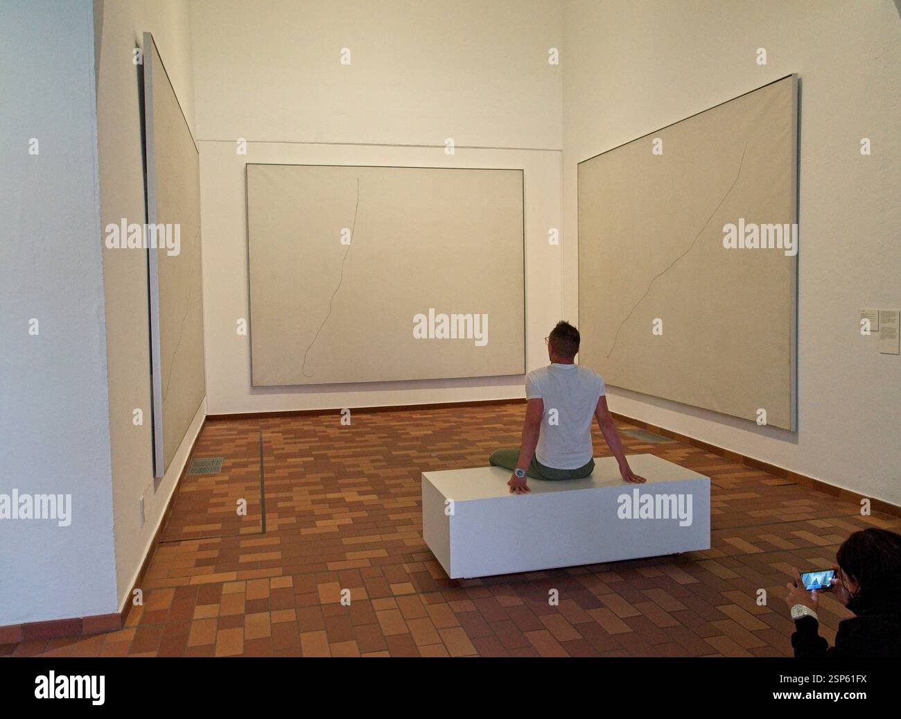 Barcelona Spanien - 24. April 2024 - Besucher, der Gemälde im Museum Fundació Joan Miró in Barcelona genießt Stockfoto
