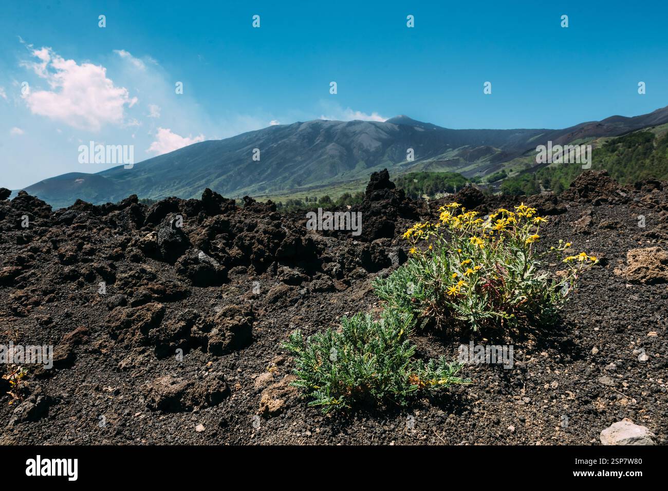 Ätna und vulkanische Asche Stockfoto