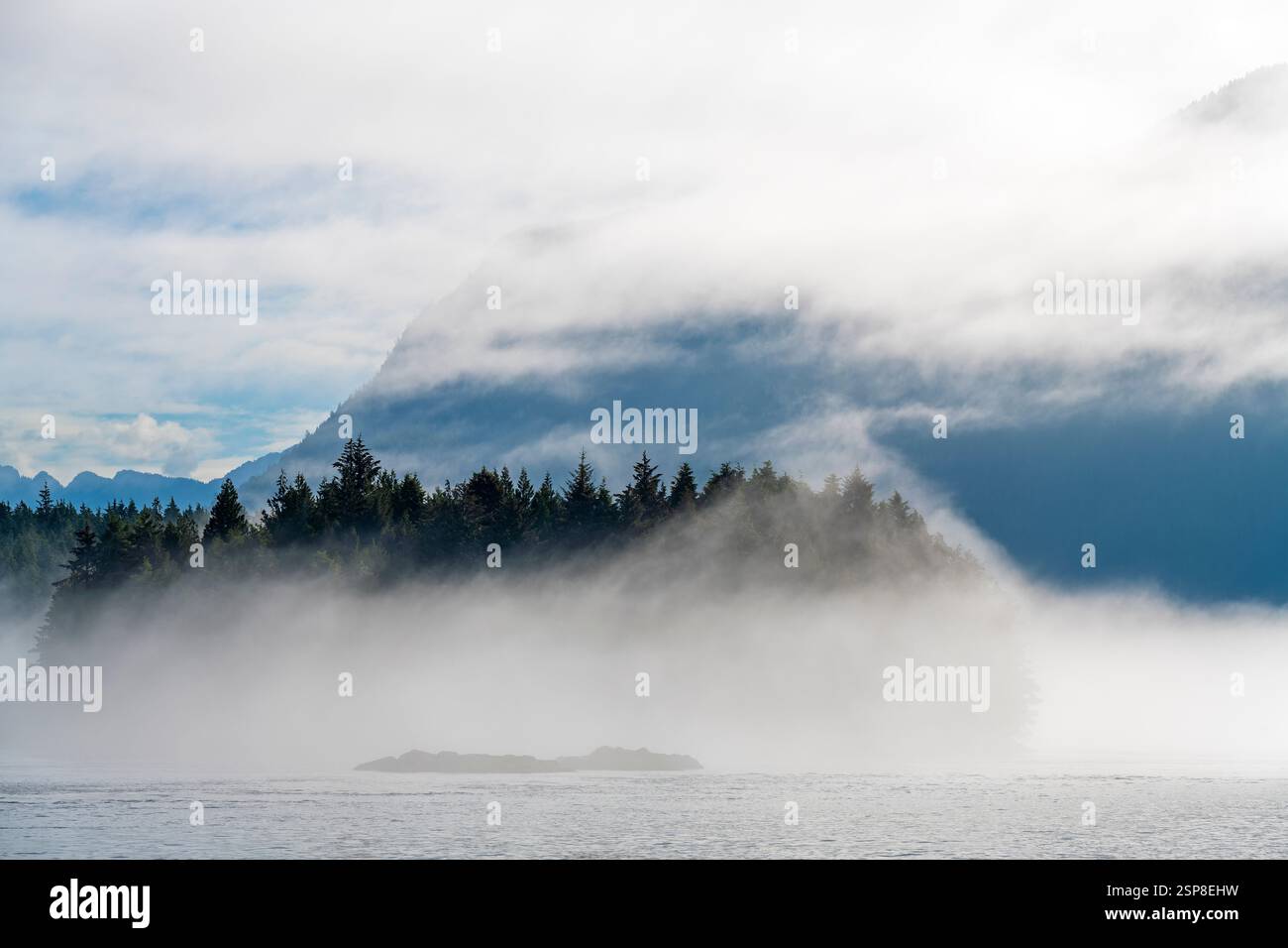 Vancouver Island im Nebel, Tofino, Pacific Rim National Park, British Columbia, Kanada. Stockfoto