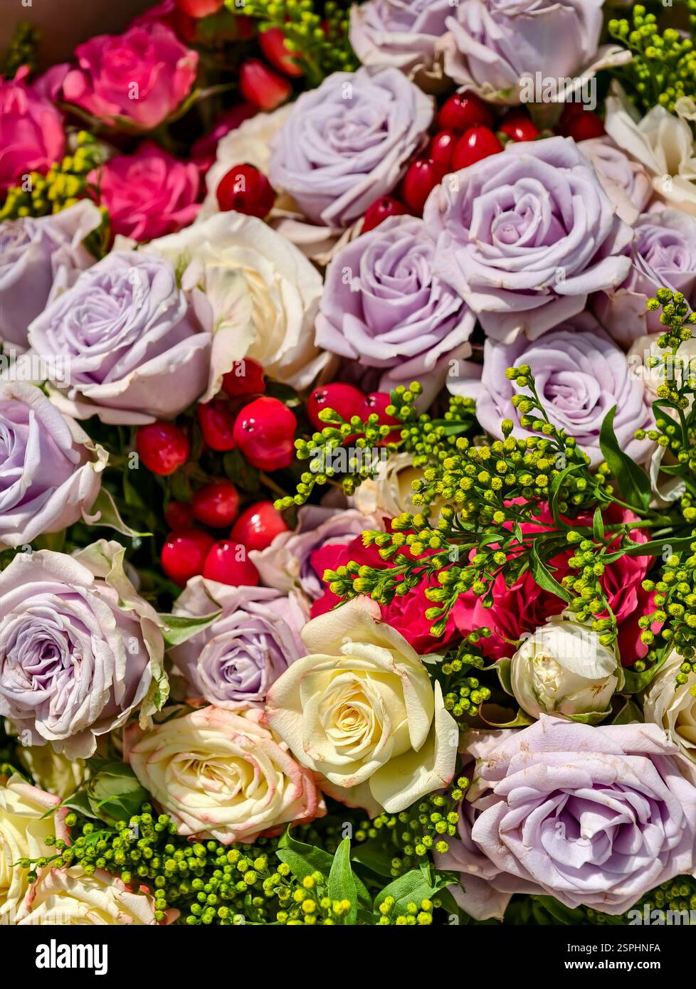 Atemberaubend schöne mehrfarbige Rosen. Das beste Geschenk für jede Frau in jedem Urlaub. Stockfoto