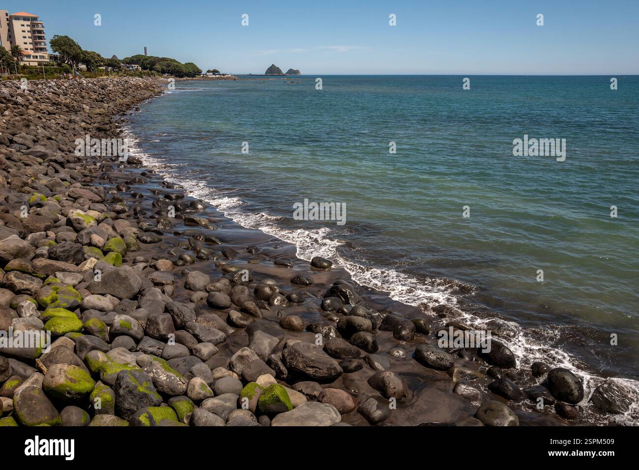New Plymouth, 22. Januar 2025: The Beach Stockfoto