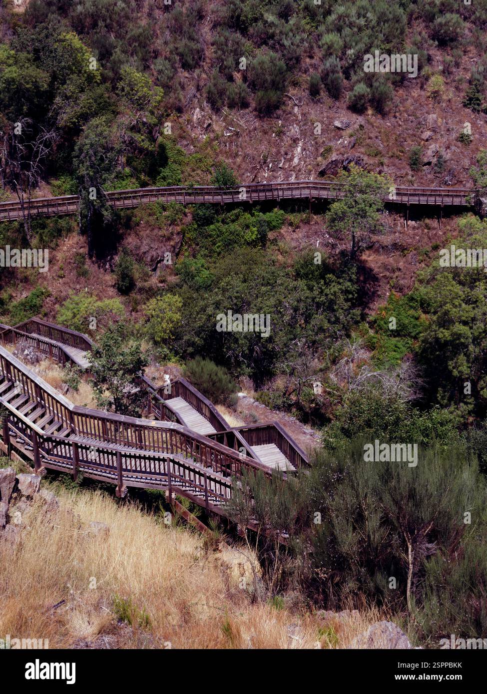Ein hölzerner Fußweg schlängelt sich durch die üppige und zerklüftete Landschaft der Mondego Walkways Stockfoto