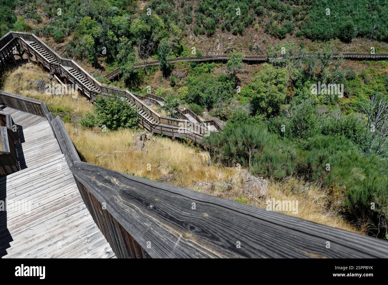 Eine verwinkelte Holztreppe führt durch das zerklüftete Gelände der Mondego-Gehwege hinunter Stockfoto