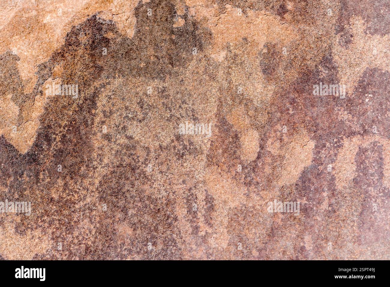 Prähistorische Gravur eines Zebras auf Sandsteinfelsen, aufgenommen im hellen Licht des späten Frühlings in Twyfelfontein, Namibia, Afrika Stockfoto