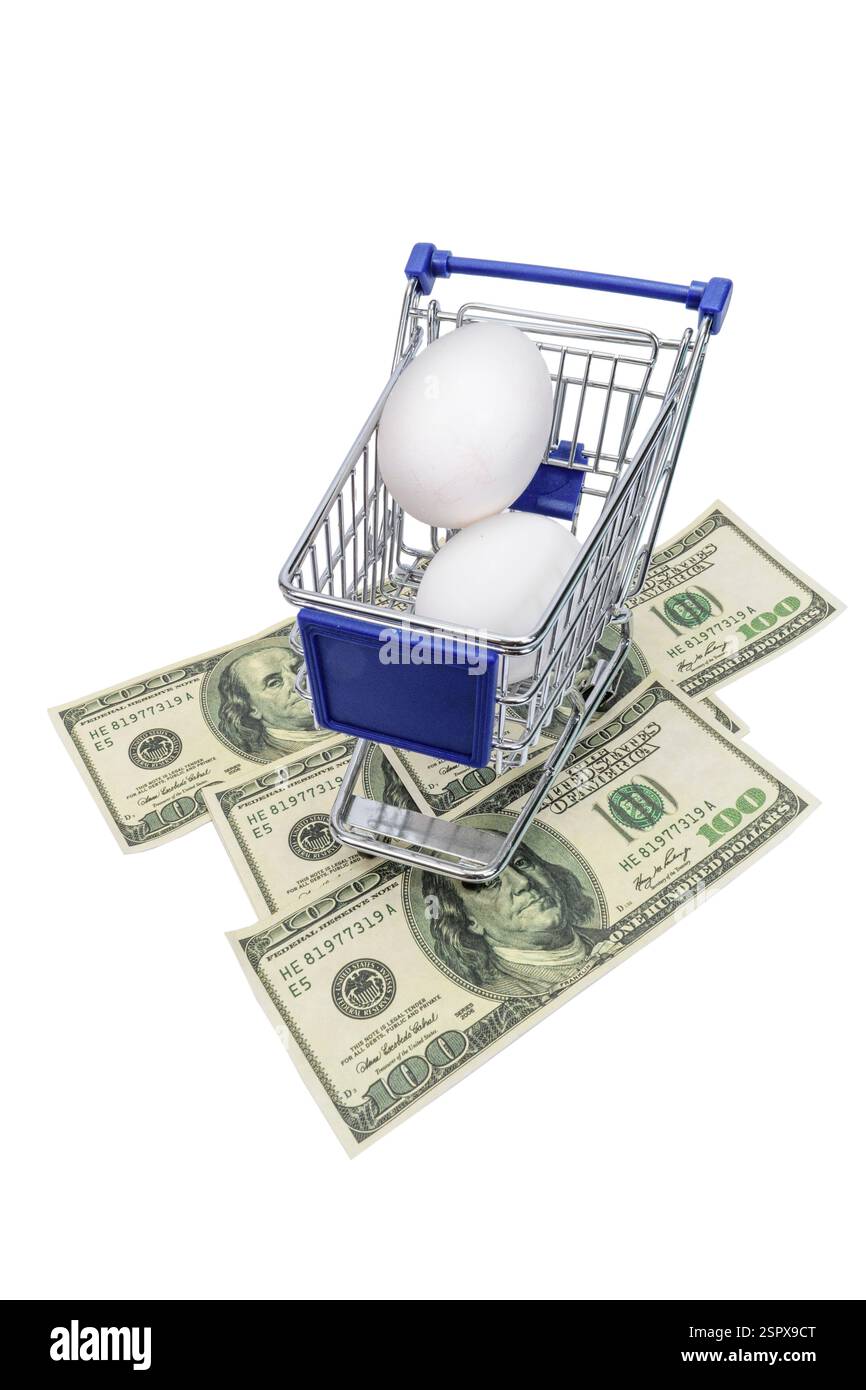 Vertikaler Schuss eines winzigen Einkaufswagens mit zwei Eiern und 300-Dollar-Scheinen darunter. Stockfoto