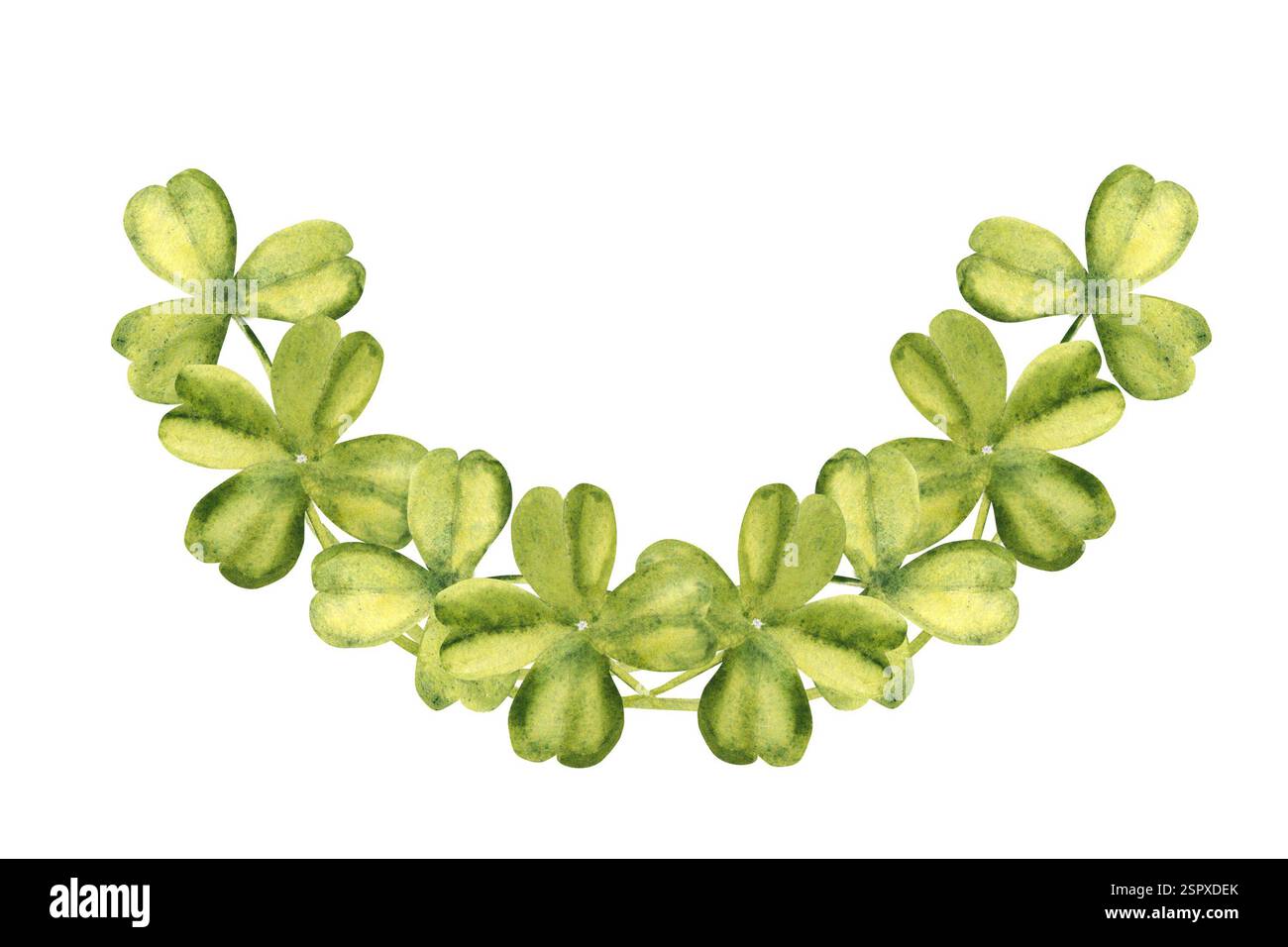 Klee Aquarell horizontale Komposition. Lucky Shamrock mit vier Blättern. Patricks Tagesklipart isoliert auf weißem Hintergrund. Vier Blätter. Keltisch Stockfoto