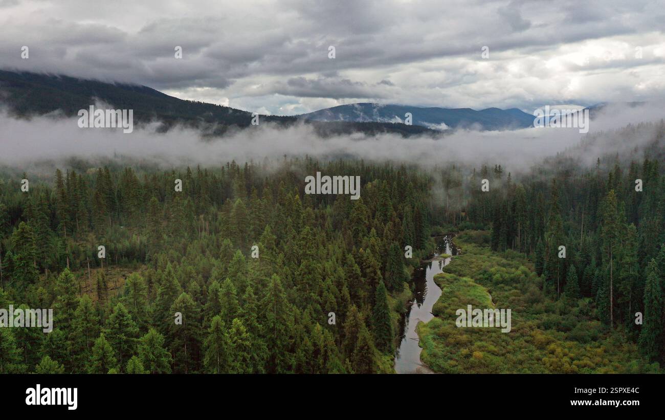 Ein alter Wald mit westlicher Lärche umgibt den North Fork Yaak River, nachdem er von British Columbia in Montana mündet. Yaak Valley und Purcell Mount Stockfoto Ein alter Wald mit westlicher Lärche umgibt den North Fork Yaak River, nachdem er von British Columbia in Montana mündet. Yaak Valley und Purcell Mount Stockfoto