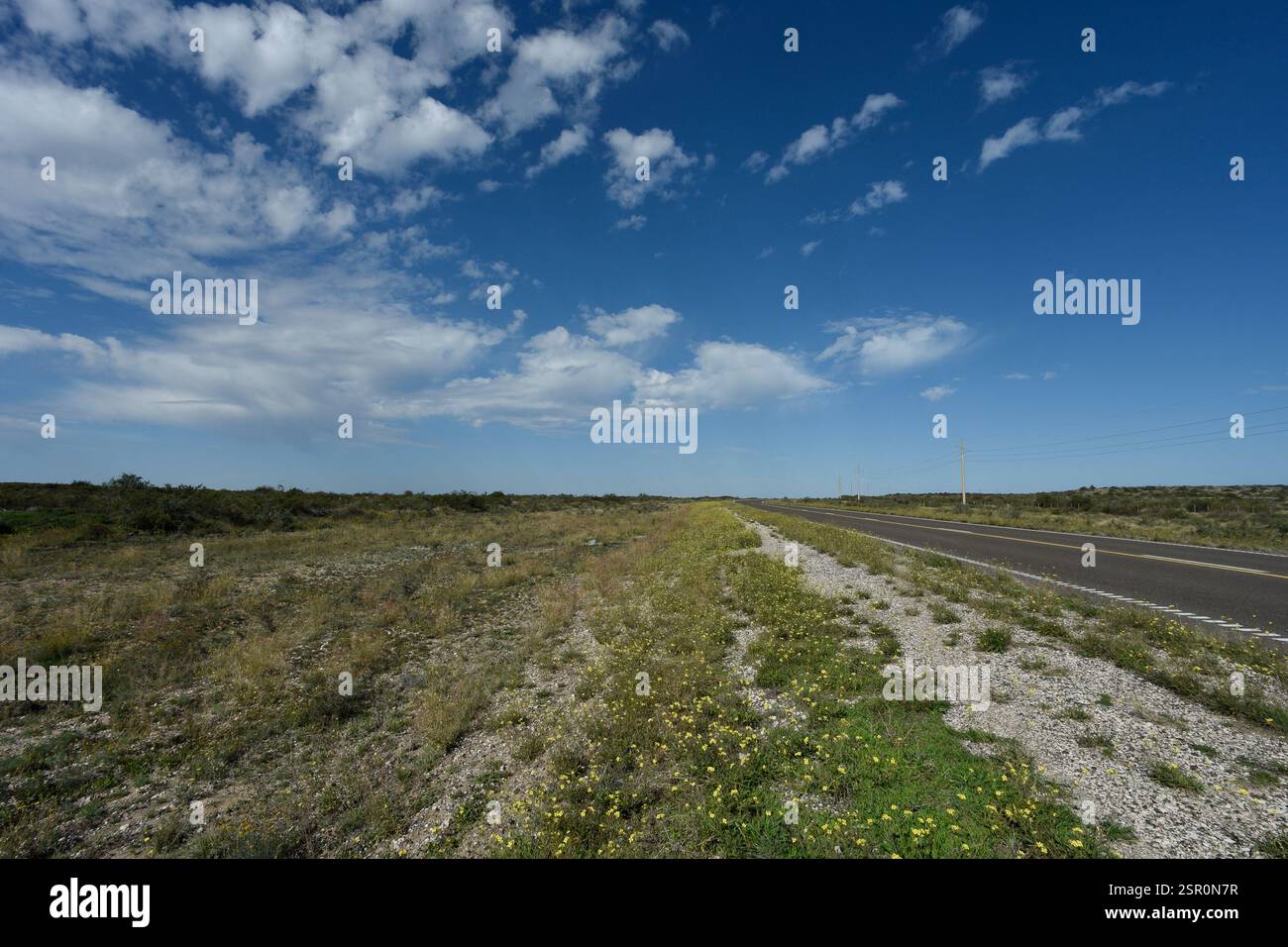Straße in Puerto Madryn, Provinz Chubut, Patagonien, Argentinien. Stockfoto