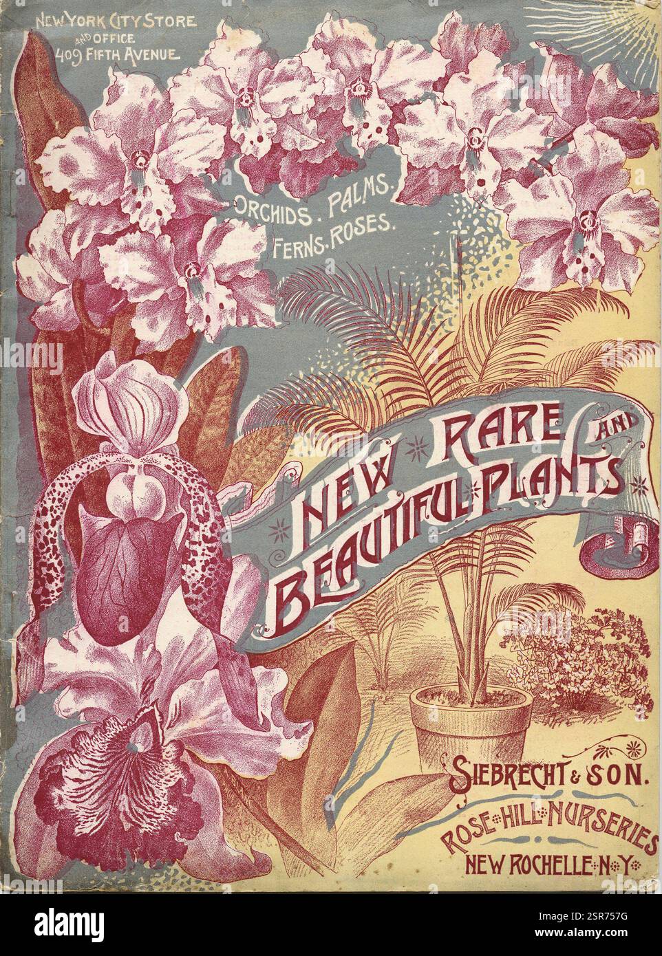 Frontcover von Siebrecht & Son um 1890er Jahre Diese künstlerische Vorderseite zeigt eine lebendige Vielfalt exotischer Flora mit komplexen Illustrationen von Orchideen, Palmen, Farnen und Rosen, die das Wesen einer vergangenen Ära im Pflanzenanbau einfangen. Das elegante Layout wird von dekorativen Elementen eingerahmt, die mit botanischen Motiven harmonieren und den Leser zu einer verlockenden Reise durch die Welt der seltenen Pflanzen einladen. Stockfoto