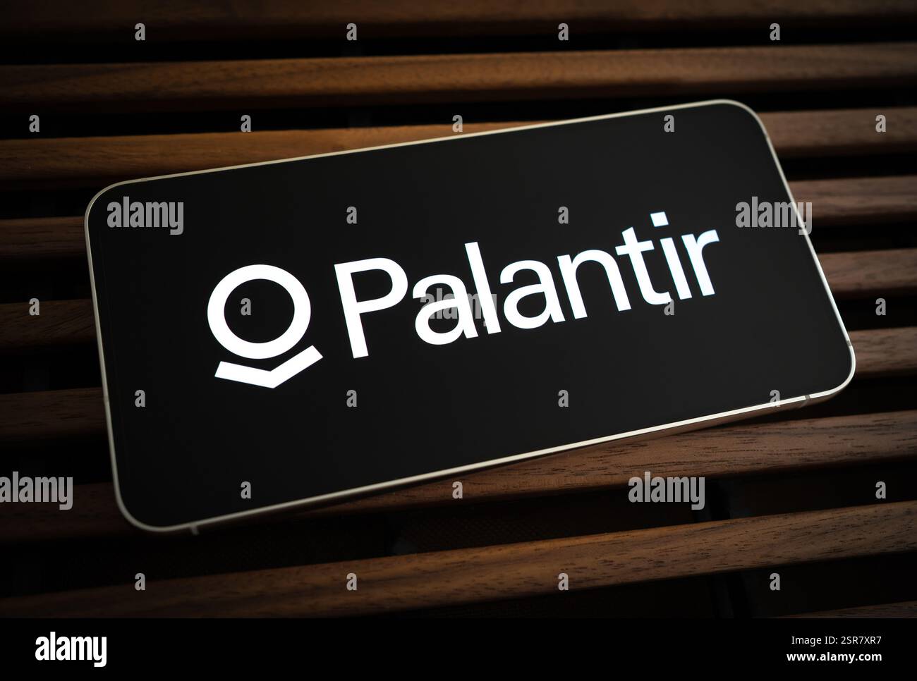 Das Unternehmen Palantir, das sich auf Softwareplattformen für Big-Data-Analysen spezialisiert hat Stockfoto