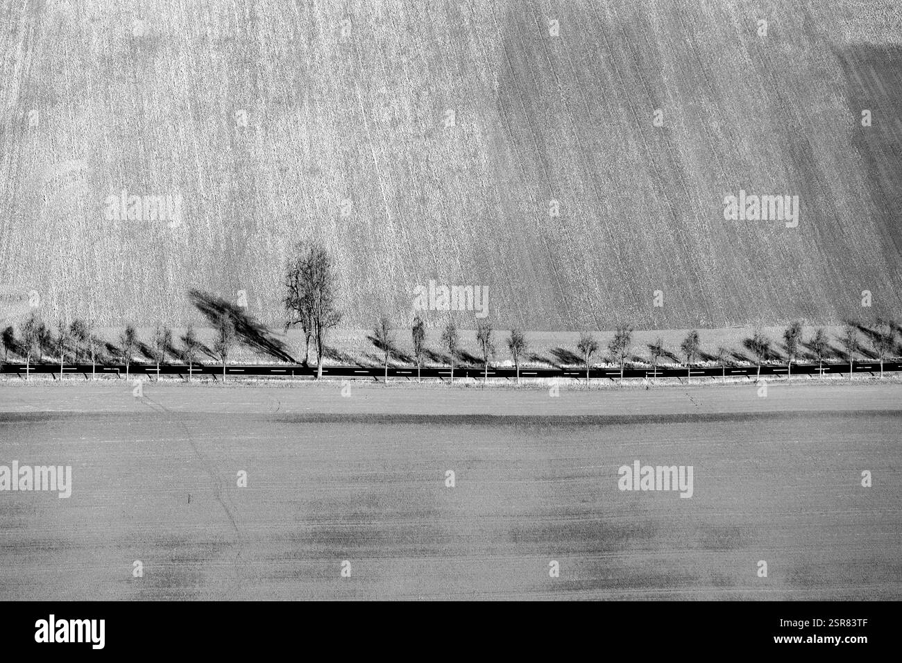 Ländliche Gegend in der Kyffhaeuser Region in Thüringen, Deutschland Stockfoto