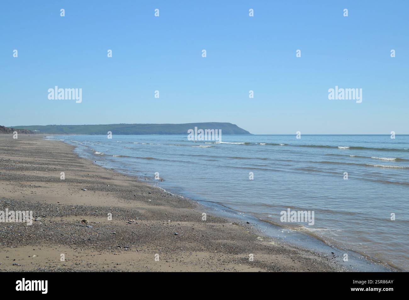 Treibholz am Strand in Hells Mouth, North Waes, K. UK Stockfoto