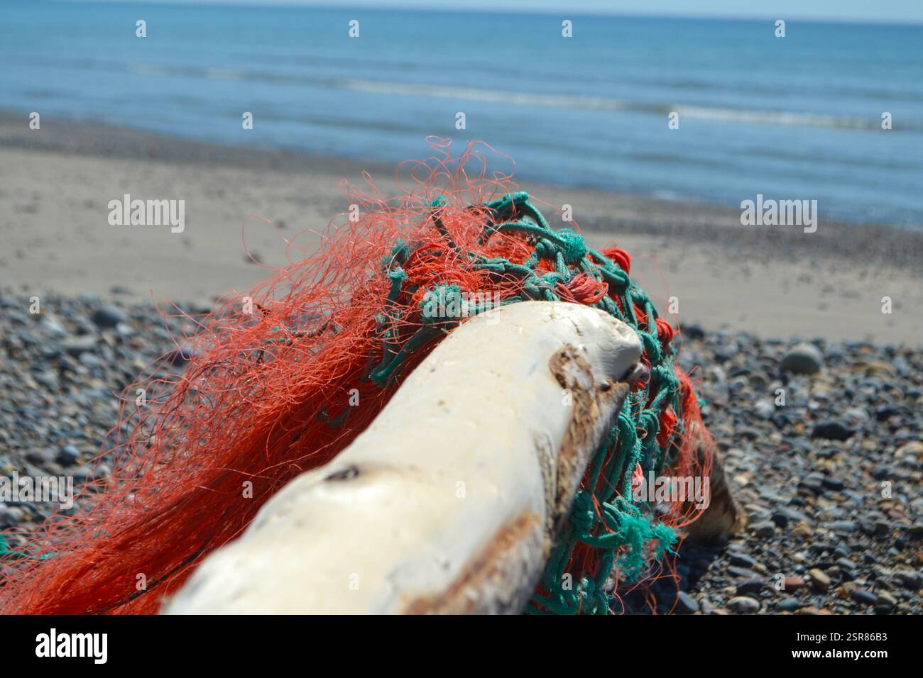 Treibholz am Strand in Hells Mouth, North Waes, K. UK Stockfoto