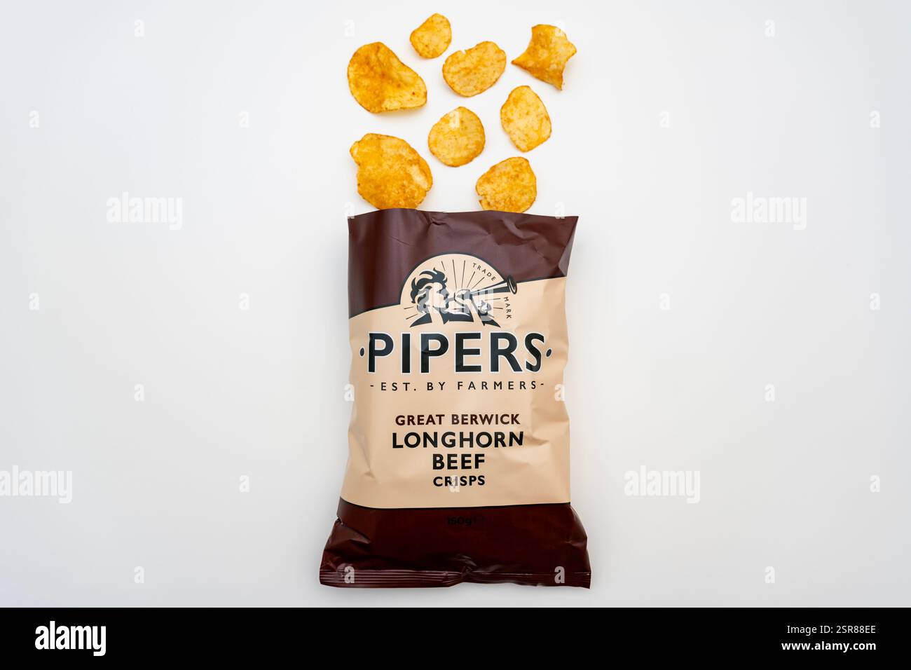 Pipers Great Berwick Longhorn Rinderchips Stockfoto