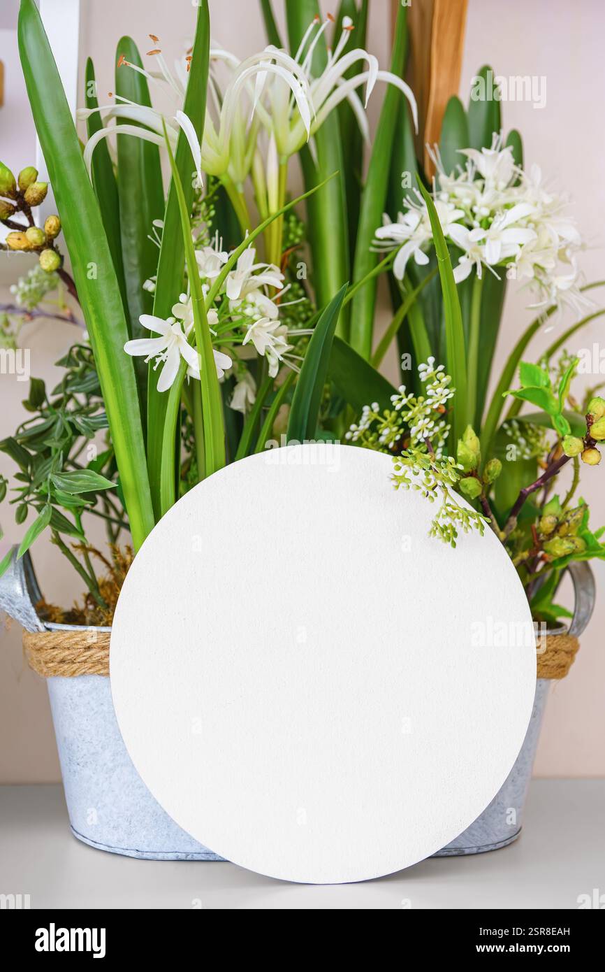 Dekorativer Topf gefüllt mit üppig grünen Pflanzen und weißen Blumen auf einem Regal mit leerem Kreis, leerer runder Anzeige mit Kopierraum. Frühjahrsmodell, templ Stockfoto