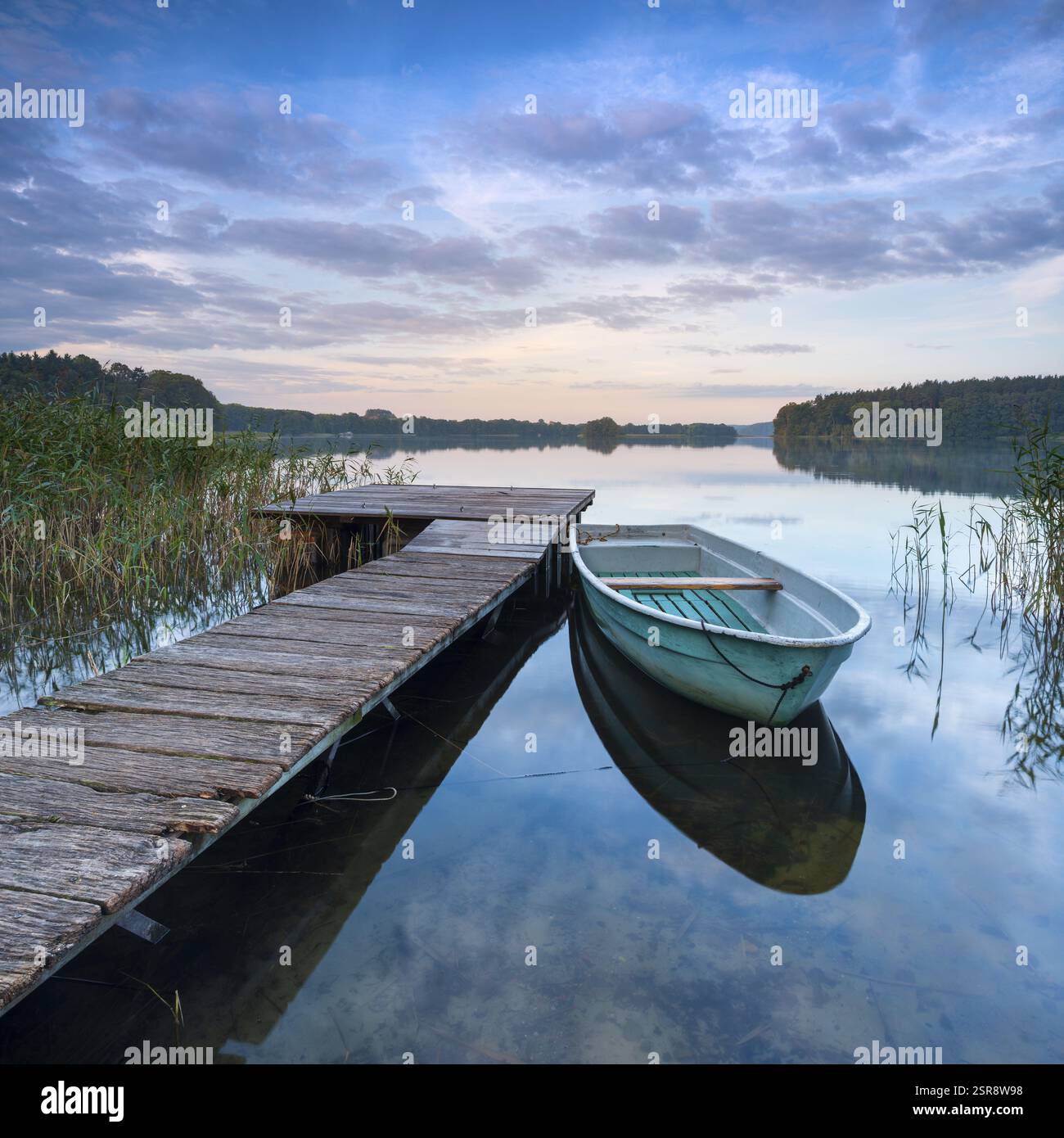 Morgenatmosphäre am See, Holzsteg mit Ruderboot im Schilf, Breite Luzin, Feldberger Seenlandschaft, Mecklenburg-Vorpommern, Deutschland Stockfoto