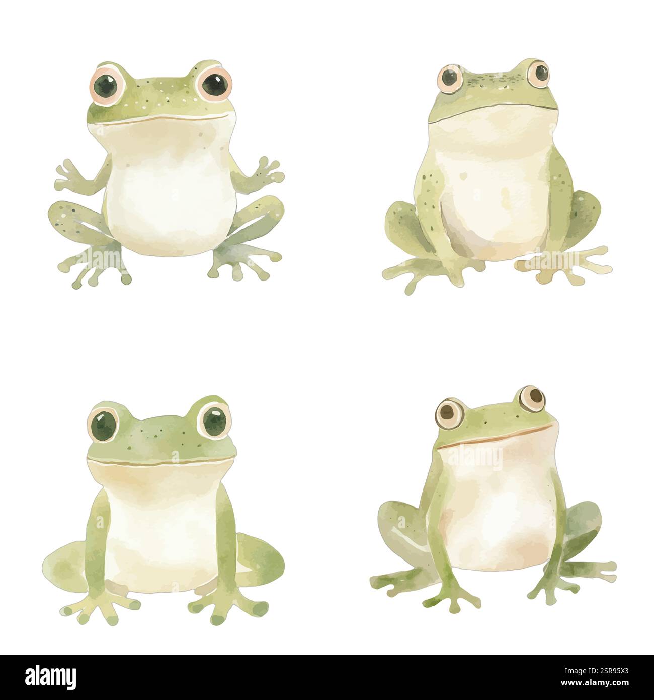 Eine handgezeichnete Aquarellabbildung von Frosch Aquarellabbildung für Kinder, die nachgezeichnet und vektorisiert wurde. Die Illustration ist perfekt für jeden Stock Vektor