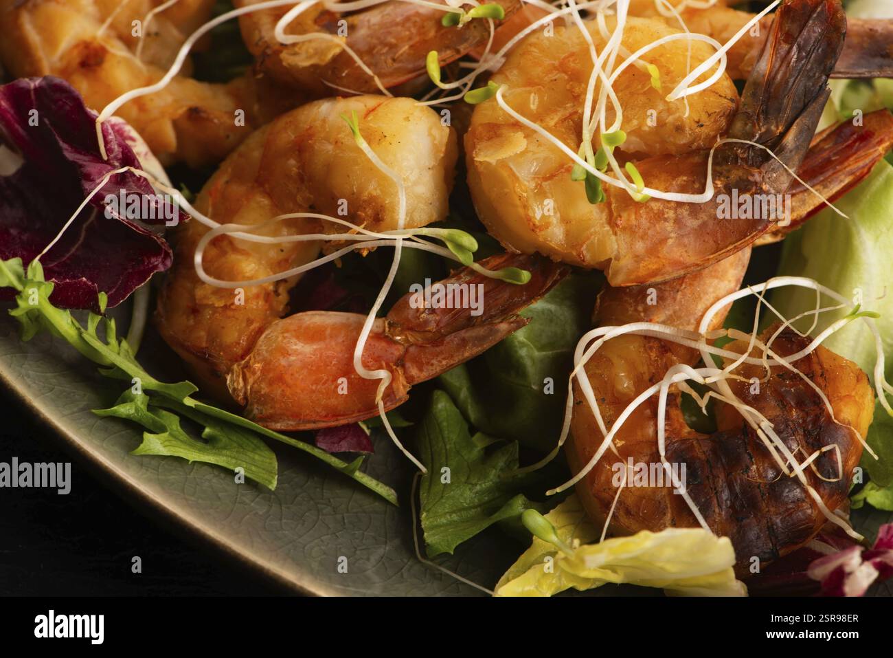 Geräucherte Garnelen auf frischem Salat mit Alfalfa-Sprossen Stockfoto