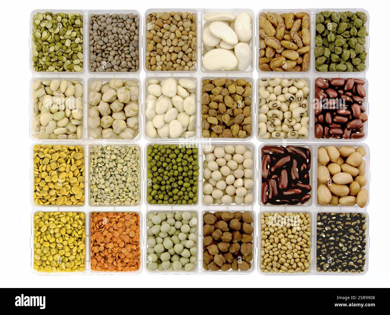 Linsenpulse und Bohnen in quadratischem Gericht, Indien, Asien Stockfoto