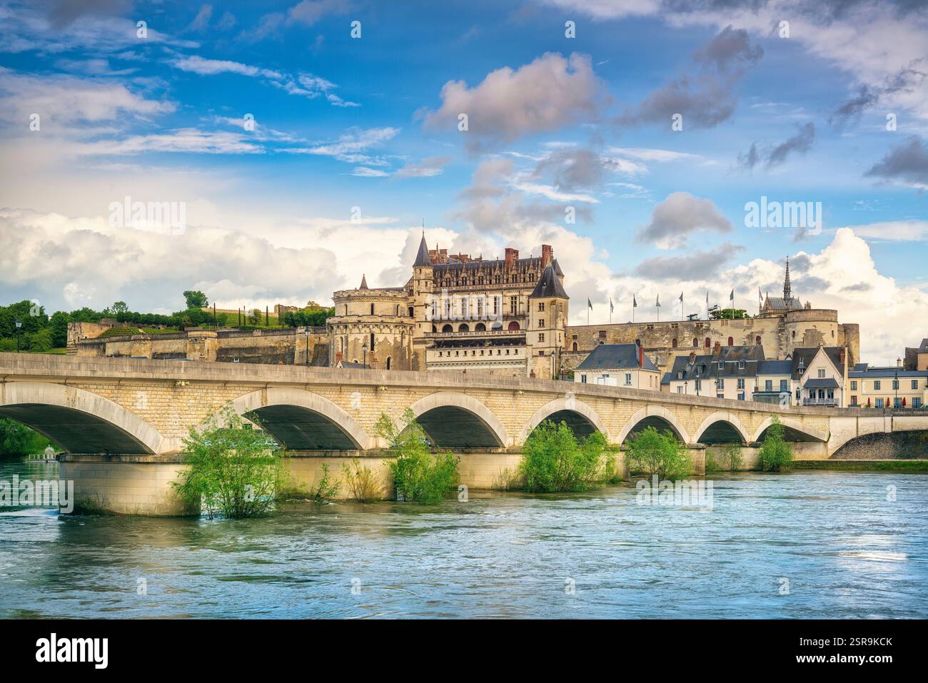 Amboise Dorf, mittelalterliche Burg und Brücke an der Loire. Val de Loire Region, Frankreich, Europa Stockfoto