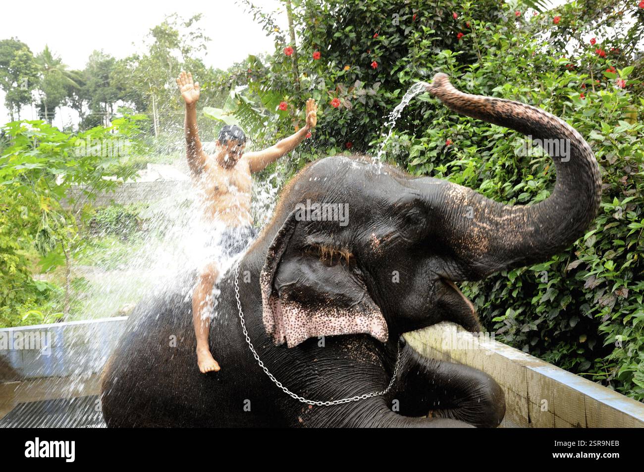 Elefant sprüht Wasser auf den Menschen, Thekkady, Kerala, Indien, Asien, MR#801B, Asien Stockfoto