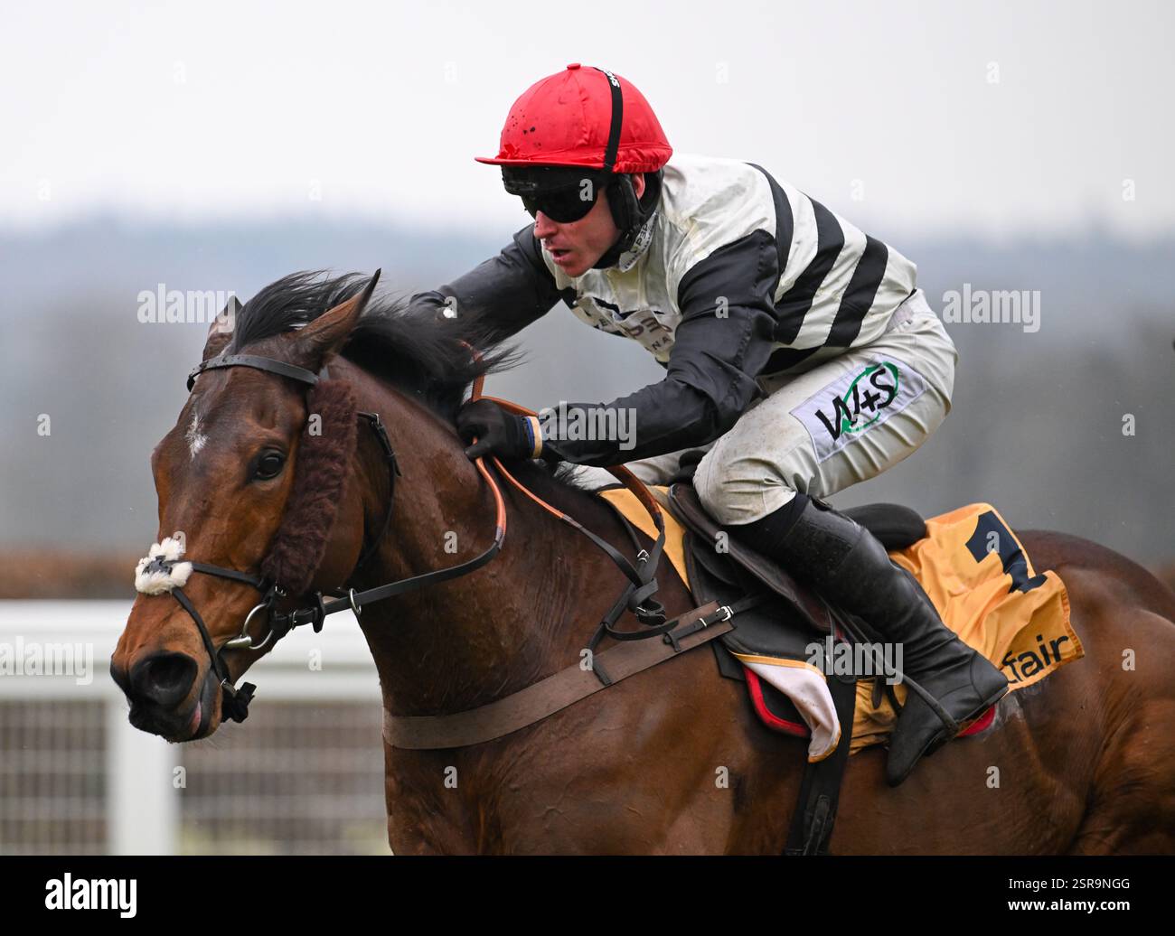 Ascot Racecourse, Berkshire, England. 15. Februar 2025. Altobelli Ridden by Bryan Carver gewinnt während des Betfair Ascot Chase Raceday die Handicap-Hürde der Betfair Exchange. Quelle: Nigel Bramley Stockfoto