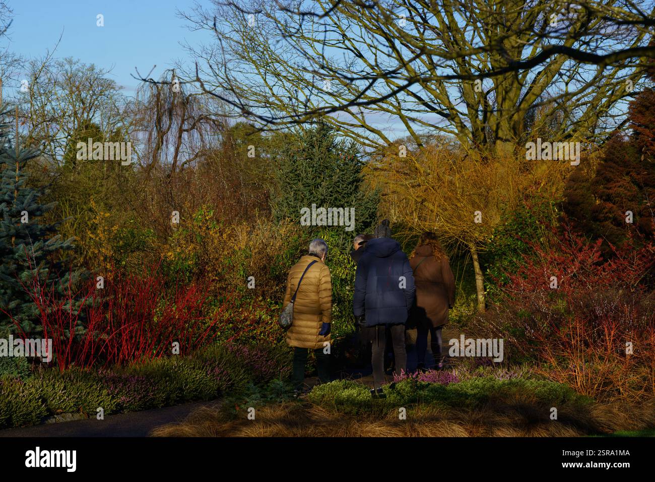 Botanischer Wintergarten mit farbenfrohen Pflanzen und drei Spaziergängern, Harrogate, North Yorkshire, Großbritannien. Stockfoto