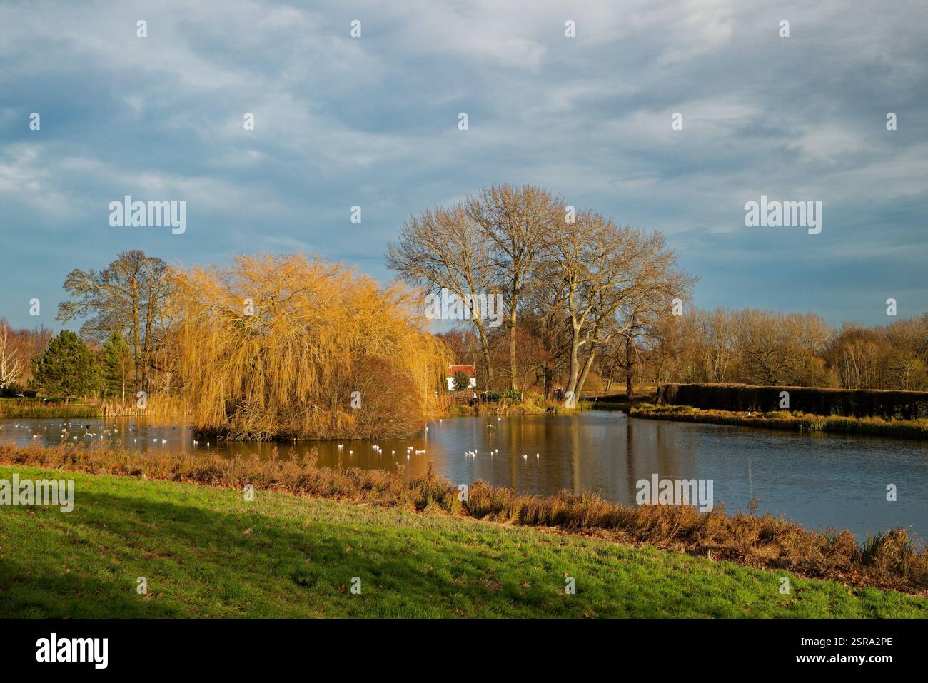 Der Upper Lake in der Gartenanlage von Cusworth Hall, Doncaster, South Yorkshire. Stockfoto