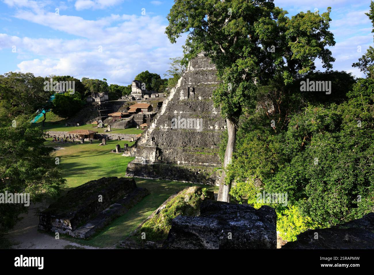 Blick auf die Denkmäler der Gran Plaza von Tikal, Guatemala Stockfoto